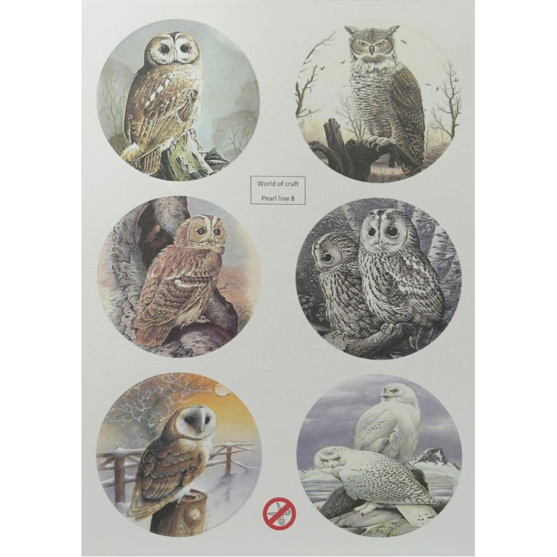 (WOCPL8)WOC Scenery pearl Winter Owls 1 - Round