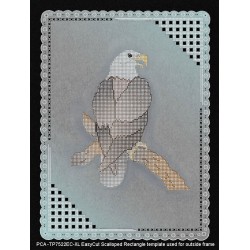 (TP3406E)PCA® EasyEmboss Countless Dots - Eagle Eye