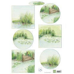 (IT593)3D Tiny's Waterlilies