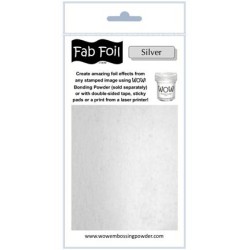 (W216-S01)Fabulous Foil - Bright Silver