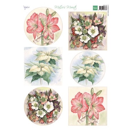 (MB0168)3D Mattie's Mooiste Christmas flowers