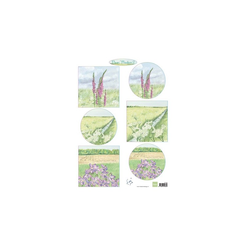 (IT602)3D Tiny's flower meadow 2