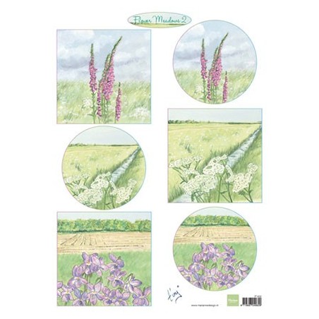 (IT602)3D Tiny's flower meadow 2