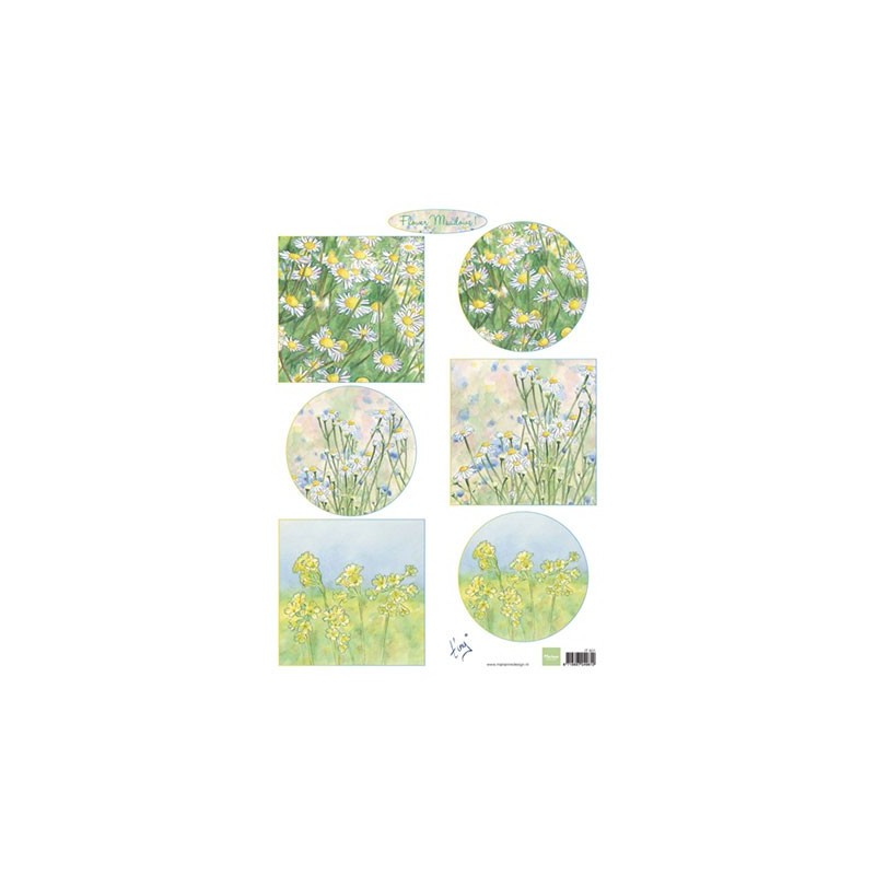 (IT601)3D Tiny's flower meadow 1