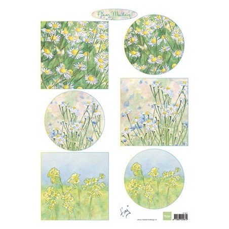 (IT601)3D Tiny's flower meadow 1