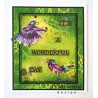 (MM1618)Stamp Tiny's birds 1