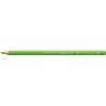 (166)Crayon FC Polychromos vert herbe