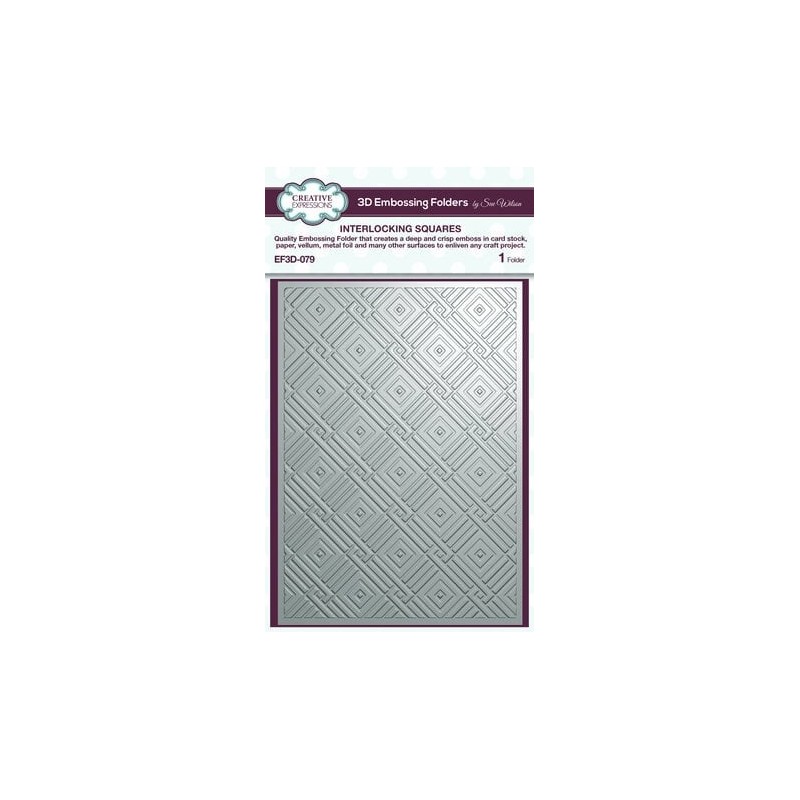 (EF3D-079)Creative Expressions Sue Wilson 3D Embossing Folder Interlocking Squares