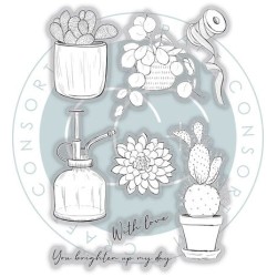 (CCSTMP092)Craft Consortium Botany Boutique Clear Stamps Cactus