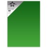 (PFSS015)Paper Favorites Flourishing Green A4 Mirror Card Matte 250gsm (5pcs)