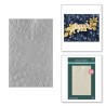 (E3D-101)Spellbinders Fresh Picked Floral Frame 3D Embossing Folder